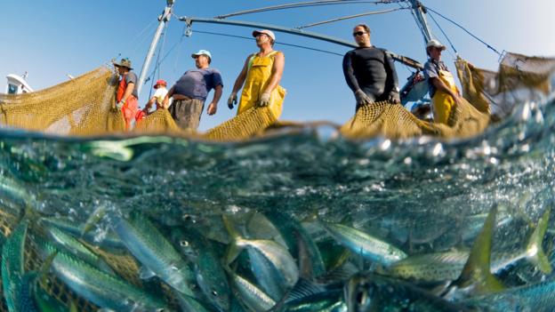 How the world’s oceans could be running out of fish