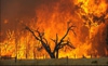 Fires burn more fiercely as northern forests warm
