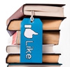 Disliking The Over Abundance of “Likes” In Social Media Gamification