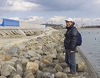 In post-tsunami Japan, a push to rebuild coast in concrete