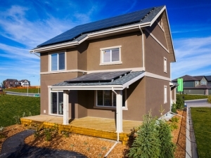 What does net zero mean?