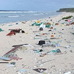 Remote island has 'world's worst' plastic rubbish density