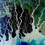Eyes on nature: How satellite imagery is transforming conservation science