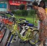 Gold bikes add sparkle to city streets