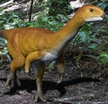 Bizarre dinosaur mystery solved