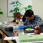 Major universities are starting to offer cannabis degree programs