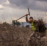 Reclaiming Appalachia: A Push to Bring Back Native Forests to Coal Country