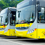 China's electric bus leadership