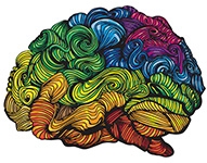 Women's brain 3 years younger than men's: study