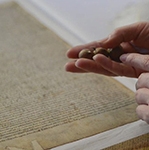 Man tries to steal Magna Carta from UK's Salisbury Cathedral
