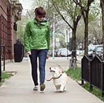 This university has introduced dog walking sessions to help students de-stress