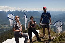 Open University platform scales up citizen science