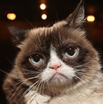 Grumpy Cat internet legend dies