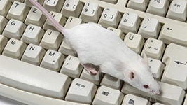 In fighting deep fakes, mice may be great listeners