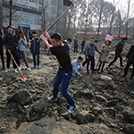 Farming course popular at Sichuan University