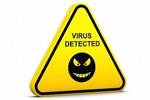 US law schools find opportunity in virus-related courses