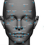 Man vs. machine: A tale of two sustainability ratings systems