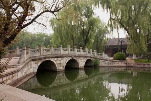 Dismissal of Chinese professors seen as major progress on #MeToo