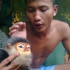 Vietnamese soldiers held over deaths of rare monkeys