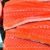 Genetically modified salmon cleared for human consumption