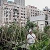 An inside view of Hong Kong’s hidden rooftop farms