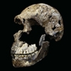 Amazing haul of ancient human finds unveiled