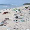 Remote island has 'world's worst' plastic rubbish density