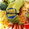 To feed 9 billion, will we need 'GMO 2.0'?