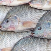 How Aquaculture is threatening the native fish species of Africa