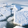 Record concentration of microplastics found in Arctic