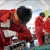 China adds 46 majors to secondary vocational education