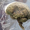 Brain back-up start-up 'will be the death of users'