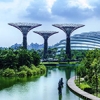 Can we integrate natural ecosystems in urban Asian spaces?
