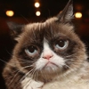 Grumpy Cat internet legend dies