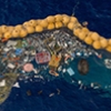 Great Pacific Garbage Patch cleanup is underway, finally