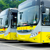 China's electric bus leadership
