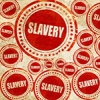 Wake Forest University president apologizes for slavery