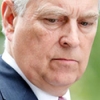 Pitch@Palace removes Prince Andrew's name from site